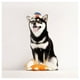 thumbnail image 4 of Pidan® Pet Plush Toy – Squeaker Monster Fábrica Estrella, 4 of 4