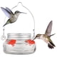 thumbnail image 1 of Comedero para platos con forma de colibrí Nature's Way Mason Jar, transparente, 1 of 8