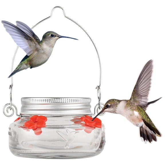 Comedero para platos con forma de colibrí Nature's Way Mason Jar, transparente