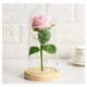thumbnail image 1 of Cúpula De Vidrio de Rosa Eterna Rosado, 1 of 2