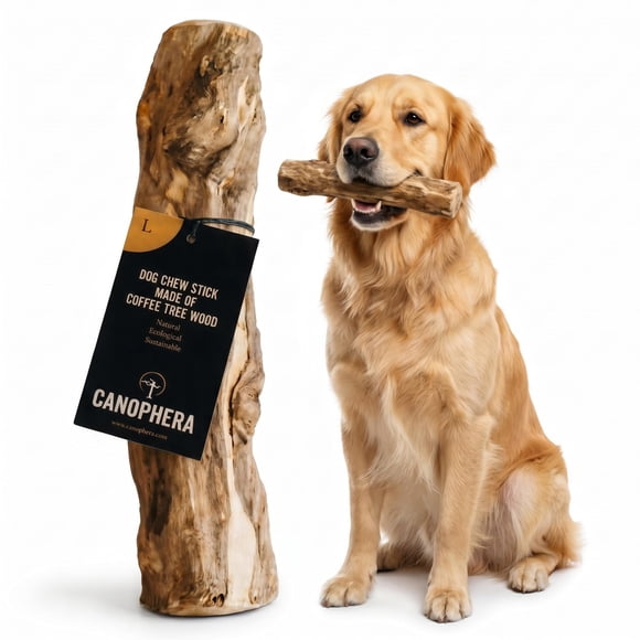 Palitos masticables para perros Canophera tamaño grande de madera de café