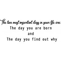 Rienda Libre Graphics - Decomural The Day You Were Born Inspirational Ws-34313