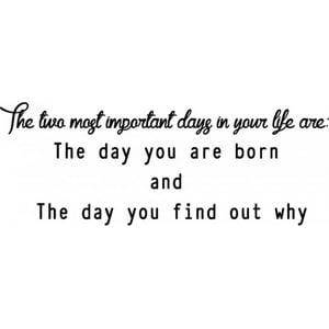Rienda Libre Graphics - Decomural The Day You Were Born Inspirational Ws-34313