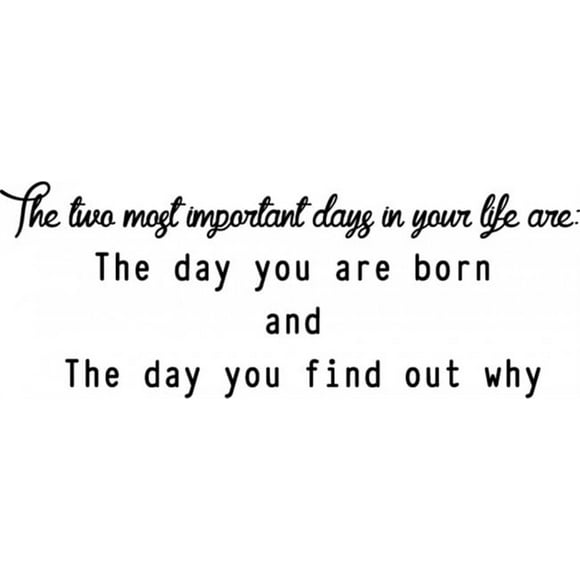 Decomural The Day You Were Born Inspirational WS-34313