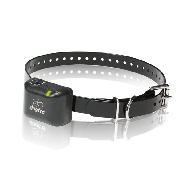 Dogtra YS300 Collar Antiladridos para Perros Pequeños