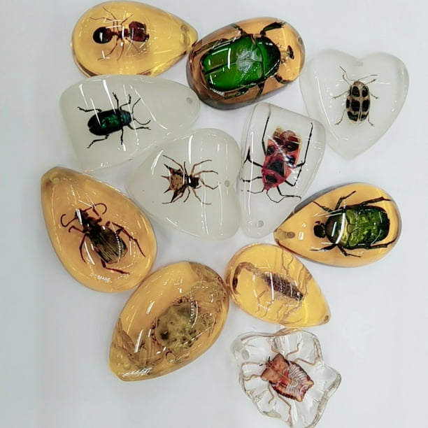 Explore the Fascinating World of Insects with These Educational Amber Blind Box Accessories!