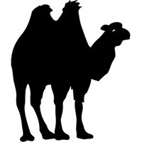 Rienda Libre Graphics - Decomural Camel Wild Animals Ws-32712