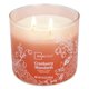 thumbnail image 1 of Vela Mainstays Cranberry Mandarin 14 oz, 3 mechas de parafina, 1 of 3