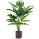 thumbnail image 1 of Planta Artificial Monstera Der Rose con Maceta Negra y Dorada, 1 of 3