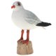 thumbnail image 2 of Plástico pájaro animal modelo figura ni?os regalo educativo juguete gaviota de cabeza negra, 2 of 5