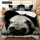 thumbnail image 1 of v146 Bed Sheets Cartoon Bedding Set - Pcs Red Lollipop Dog Duvet Cover Sets Bed Linens Pet Cat Adults Kids Single Double Bedclothes Beddings 3-Piece Bedding Set (1 Duvet Cover + 2 Pillow Shams) Bed Sh, 1 of 5