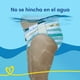 thumbnail image 5 of Pañales de Bebé Pampers para Piscina G, 11 Un, 5 of 6