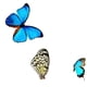 thumbnail image 1 of Diamond Painting Mariposas Flores, 1 of 3
