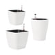 thumbnail image 2 of 3 Uds Macetas De Riego Automático Solución De Agua Automática Para Plantas Bonsái, 2 of 5
