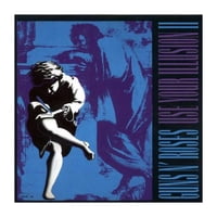 Grupo Laser Disc - Vinilo Guns N Roses / Use Your Illusion Ii 2Lp