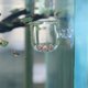 thumbnail image 1 of Alimentador para Acuario AILINDA de Vidrio con Ventosa para Lombrices Rojas, 1 of 7
