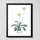 thumbnail image 1 of CUADRO DECORATIVO 35X45 BOTÁNICA DIENTE DE LEÓN, 1 of 2