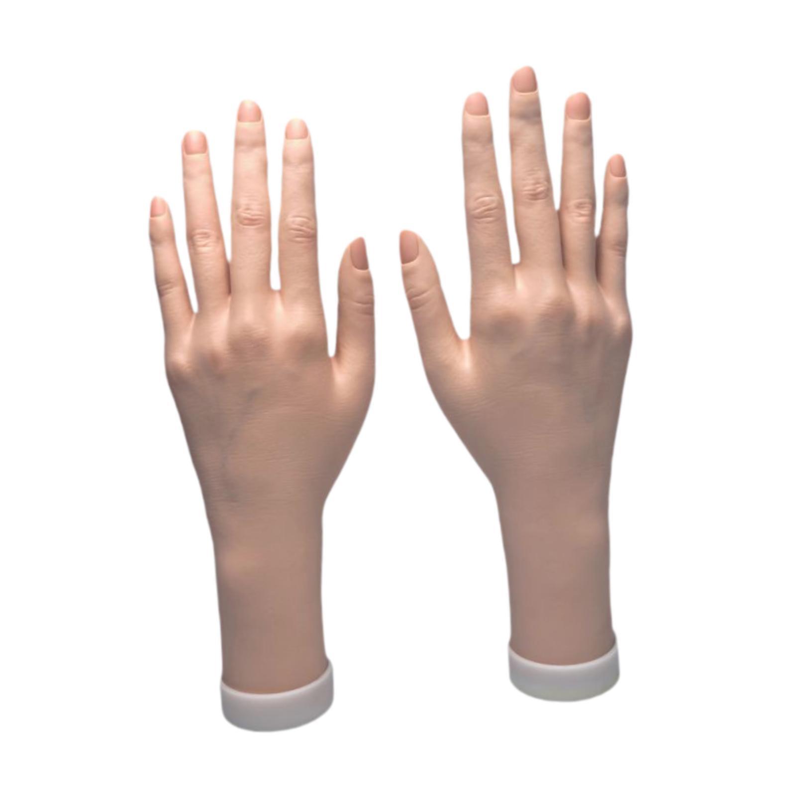 Ioensy - Modelo De Mano Femenina, Mano De Maniquí Multiusos Para Accesorios Fotográficos, Pulsera, Anillos, Izquierda Y Derecha