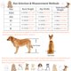 thumbnail image 4 of Silla de ruedas para perros RUIFAR de 4 ruedas ajustable (S), 4 of 9