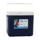 thumbnail image 4 of Nevera portátil con aislamiento térmico, caja de almacenamiento en frío con asa, hielera personal de 20 l, hielera pequeña para exteriores, barco, Azul, 4 of 5