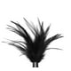 thumbnail image 3 of Pluma Sensual Le Plume, 3 of 4