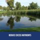 thumbnail image 4 of Limpiador de Estanques Healthy Ponds 125 000 gal (paquete de 4), 4 of 5