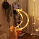 thumbnail image 4 of Luces Led De Cortina Guirnalda Navidad Extendible, 4 of 5
