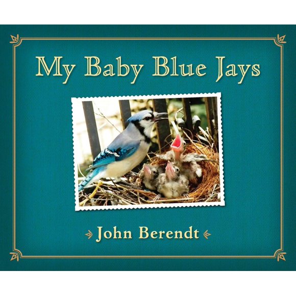 Libro Viking Drill & Tool My Baby Blue Jays