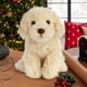 thumbnail image 2 of Peluche Living Nature Labradoodle de 25 cm con forma de perro esponjoso, 2 of 8