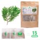 thumbnail image 2 of Té EidolonGreen Hoja de Thuja - 15 Bolsas sin Blanqueador, 2 of 6