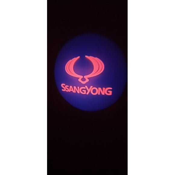X2 luces led cortesía o bienvenida para puertas autos Bateria Ssangyong