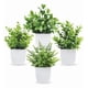 thumbnail image 1 of Plantas artificiales norplat 4 uds macetas, 1 of 3