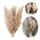 thumbnail image 2 of Pampas grass ramas 5 uds 120 cm decoración, 2 of 3