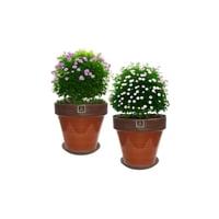 Mestiza - Set De 2 Maceta Kony 15Cm Morena Mamey Y Sus Platos