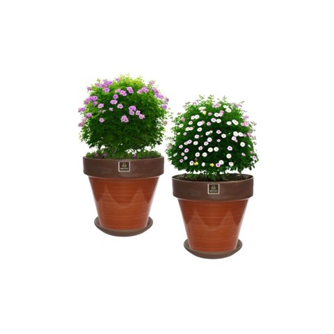 Mestiza - Set De 2 Maceta Kony 15Cm Morena Mamey Y Sus Platos