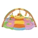 thumbnail image 1 of Gimnasio Mariposa BW-G03M, 1 of 3