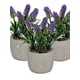 thumbnail image 1 of Plantita Artificial Deco Altura .17 Cm.., 1 of 2
