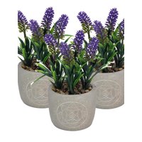 Vgo - Plantita Artificial Deco Altura .17 Cm..