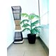 thumbnail image 5 of Planta Artificial Decorativa Arbol Grande Palmera 120cm 10h, 5 of 6