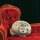 thumbnail image 4 of Peluche Steppe Cat De 30 Cm Con Almohada Para Niños, 4 of 5
