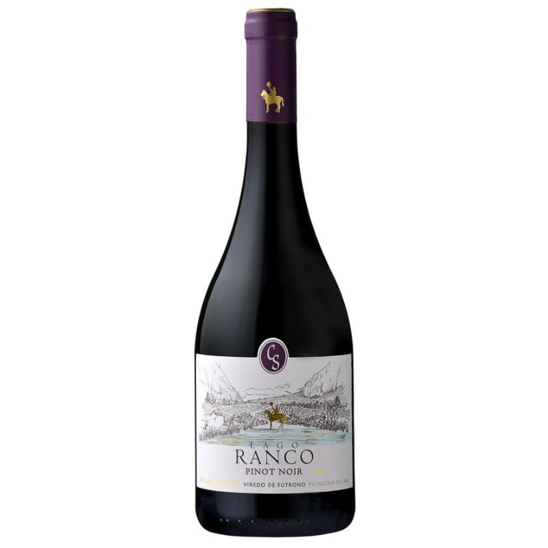 Vino Tinto Pinot Noir Botella 750 cc Casa Silva