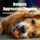 thumbnail image 5 of Pelota Indestructible para Perro Iron Paws con Patas de Hierro, Azul, 5 of 6
