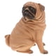 thumbnail image 1 of figura animal modelo plástico figurita ni?os juguete regalo decoración del hogar pug amarillo, 1 of 5