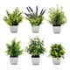 thumbnail image 1 of 6pzs Plantas Flores Artificiales Macetas Decorativas Bonsai, 1 of 10
