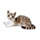 thumbnail image 5 of Juguete De Peluche De Gato Para Decoración De Habitación Infantil, Mu?eco De Gato Acurrucable Para Adultos, Ni?os Y Ni?as, Gris, 25 Cm, 5 of 5
