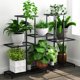 thumbnail image 1 of Twhep Metal Plant Stand, 5 Tiers Multifunctional Plant Stand, 1 of 3