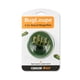 thumbnail image 2 of Lupa Carson BugLoupe 4.5x para niños, color verde, 2 of 6
