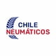 thumbnail image 2 of NEUMATICO MICHELIN 305/30 R19 102(Y) PILOT SPORT CUP 2 N0, 2 of 2