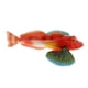 thumbnail image 1 of Realista Estático Océano Animal Modelo Juguete Ni?os Regalo Bluefin Gurnard, 1 of 3