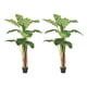 thumbnail image 1 of 2 X 1 Plantas Artificiales Banano 180 Cm Verde, 1 of 9